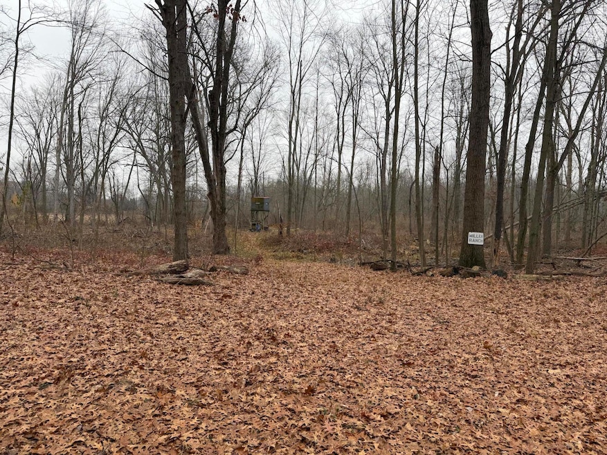 0 Burtch Rd unit 25059450, Grass Lake, MI 49240 - photo 1