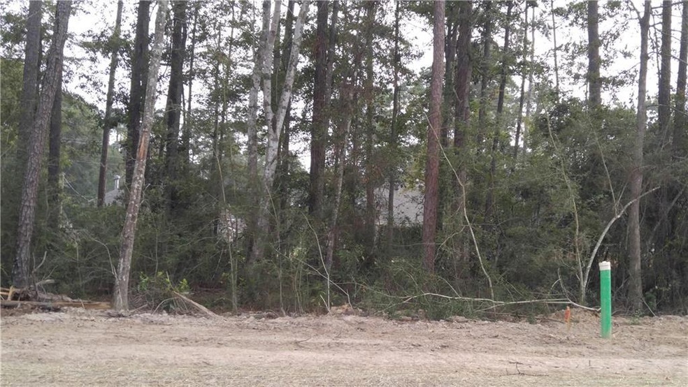 Lot 11B Cours Carson St, Mandeville, LA 70448 - photo 1