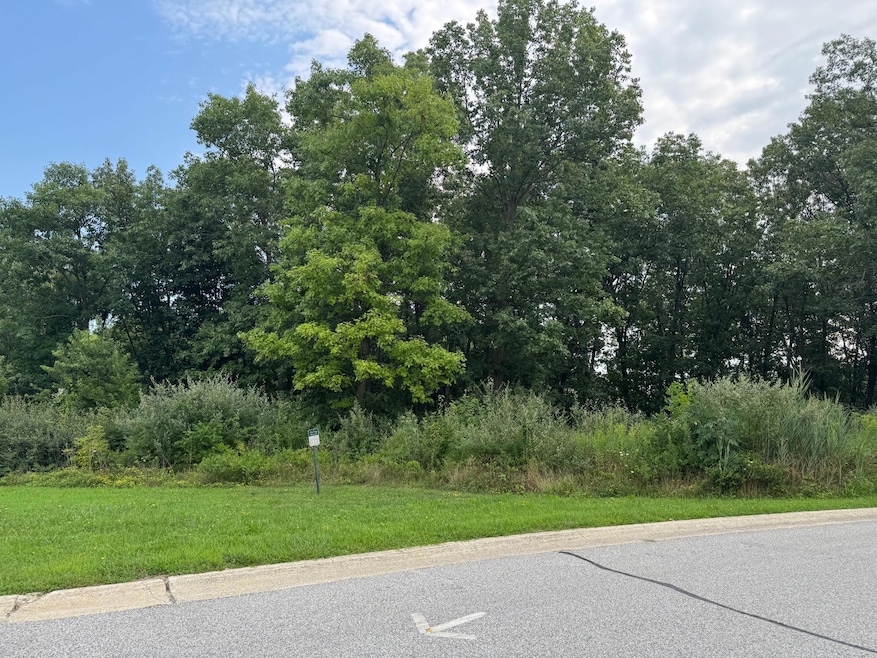 720 Ketill Trace, Crown Point, IN 46307 - photo 1