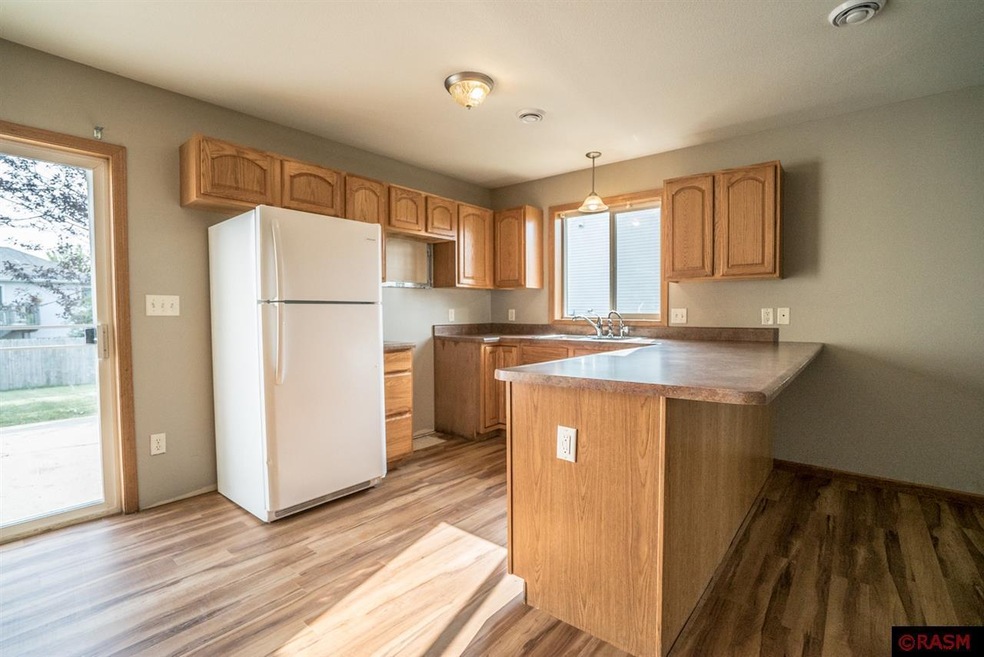 316 Cole Ct, Mankato, MN 56001 - photo 1