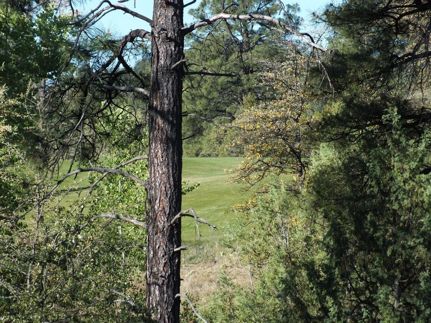 Fairway View