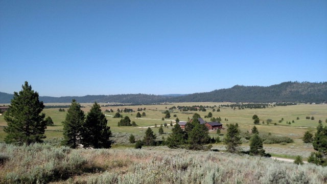 Main View