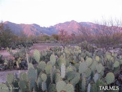 Dusk views of Catalina Mtns