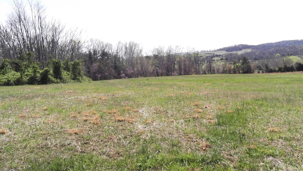 0 Locust Rd unit 1038344, Rutledge, TN 37861 - photo 1