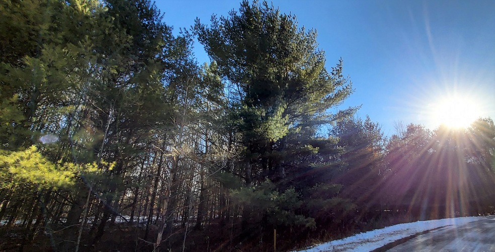 Sun View