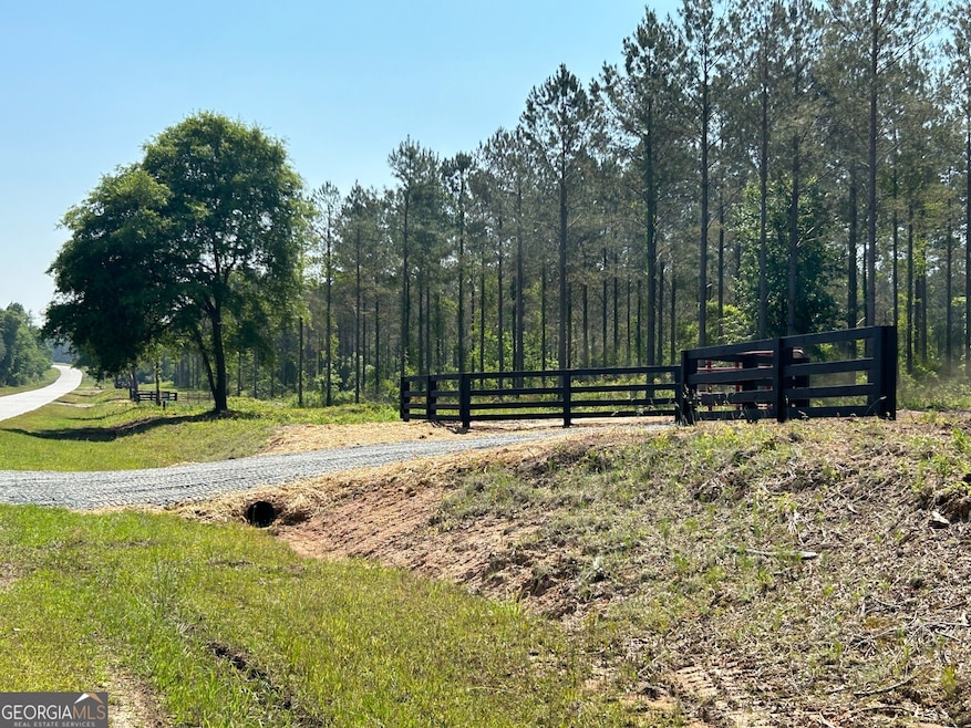 0 Springhaven Rd unit LOT 19 10589733, Dexter, GA 31019 - photo 1