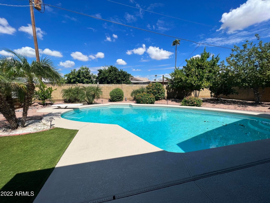 Gorgeous backyard