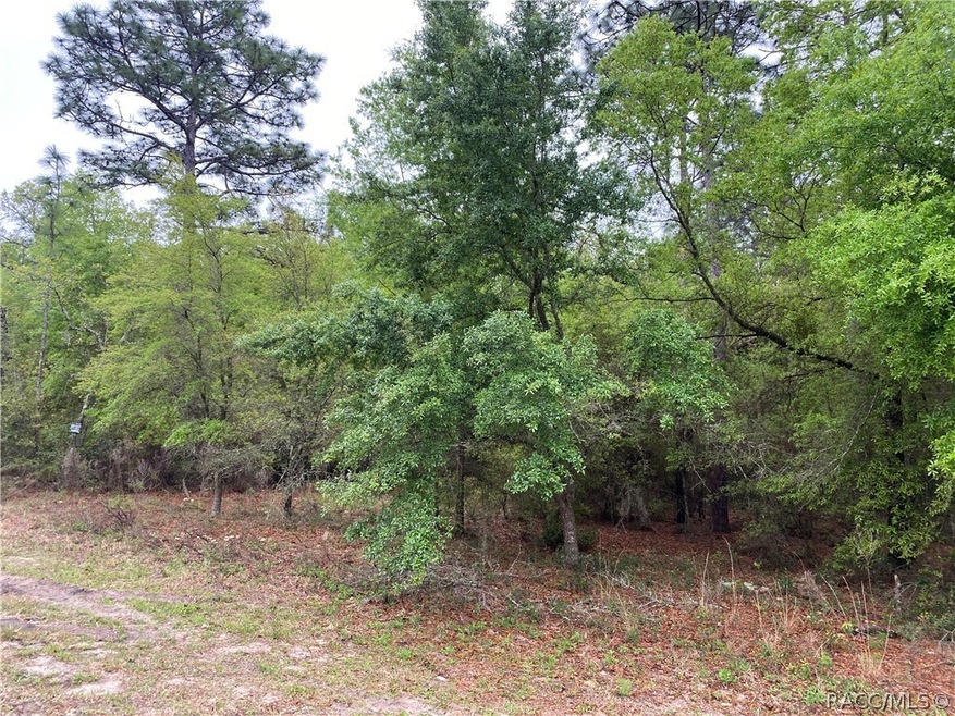 0 SW 204th Cir, Dunnellon, FL 34431 - photo 1