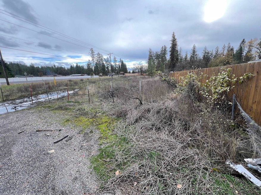 Xxx N Seven Mile Rd, Nine Mile Falls, WA 99026 - photo 1