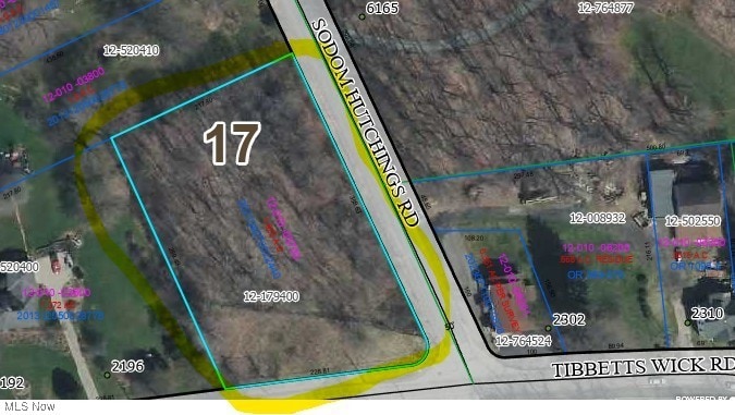 0 Tibbetts Wick unit 5175239, Liberty, OH 44420 - photo 1