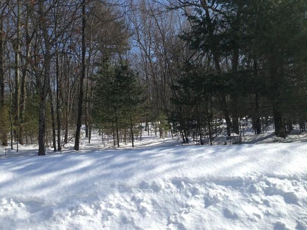 Lot 2, Forest Park Dr, Holliston, MA 01746 - photo 1