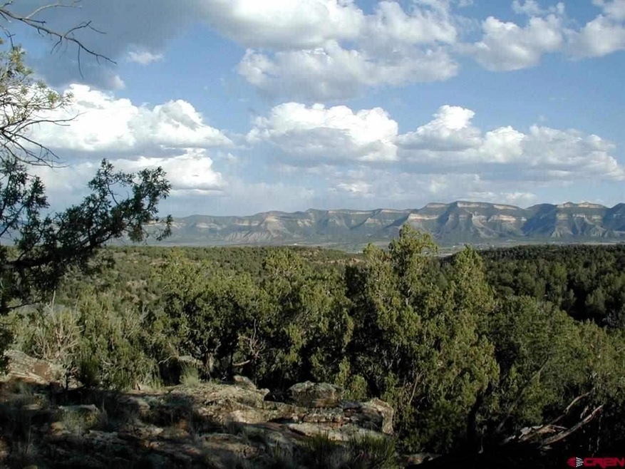 0 Road 22 7 unit 724943, Cortez, CO 81321 - photo 1
