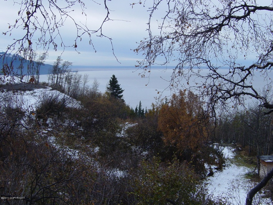 View from Lot