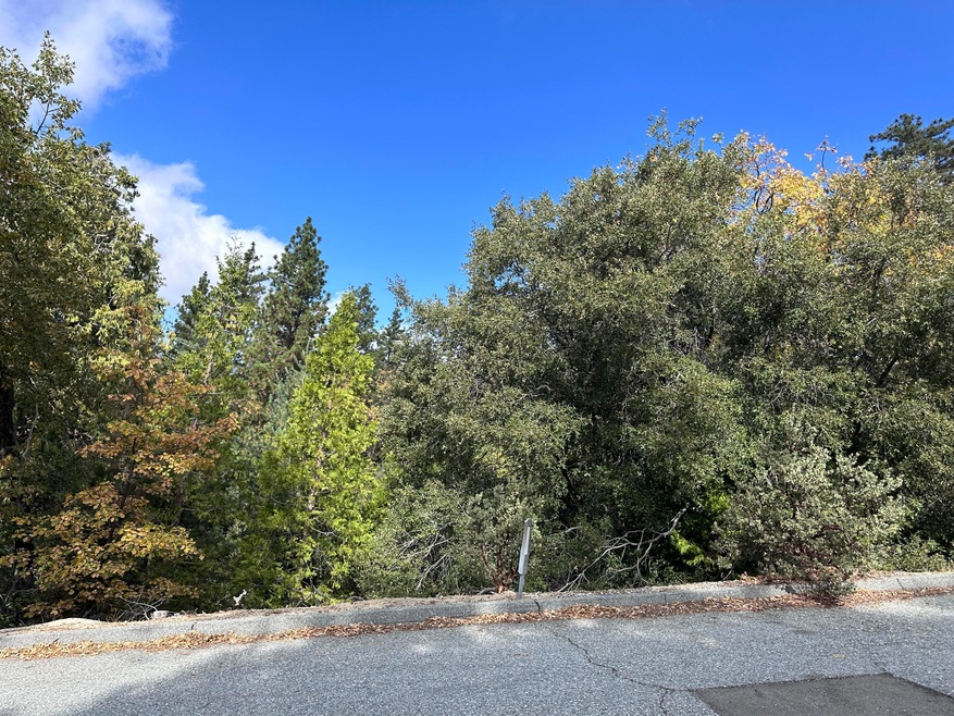 0 Round Robin Dr unit 219139116DA, Idyllwild, CA 92549 - photo 1
