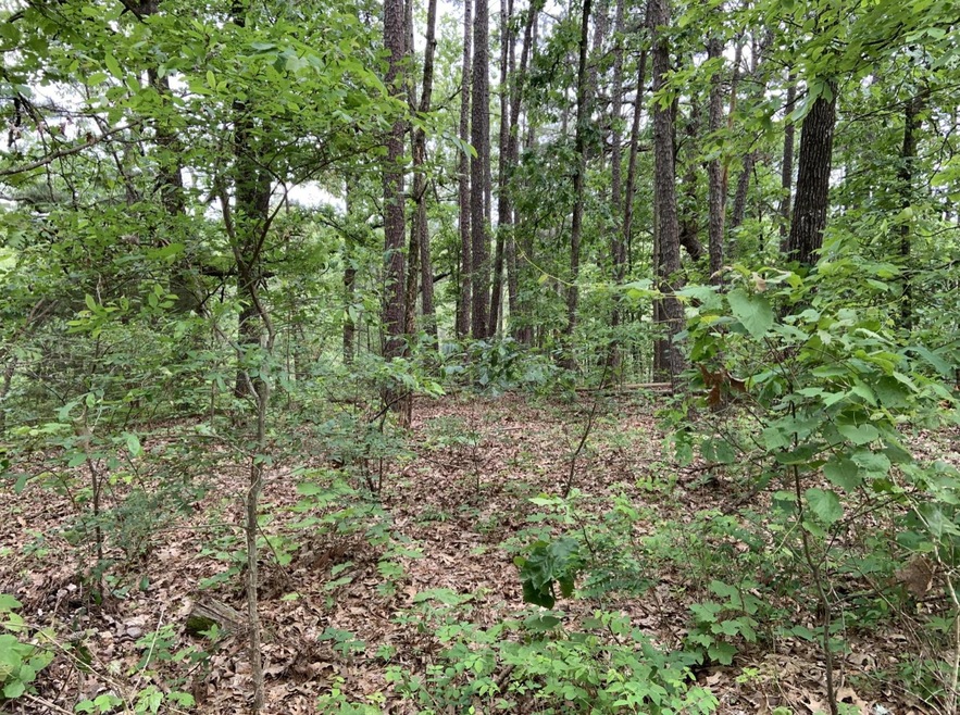 Lots of trees and privacy!
