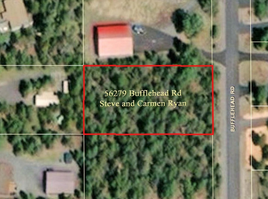 Bufflehead Road
