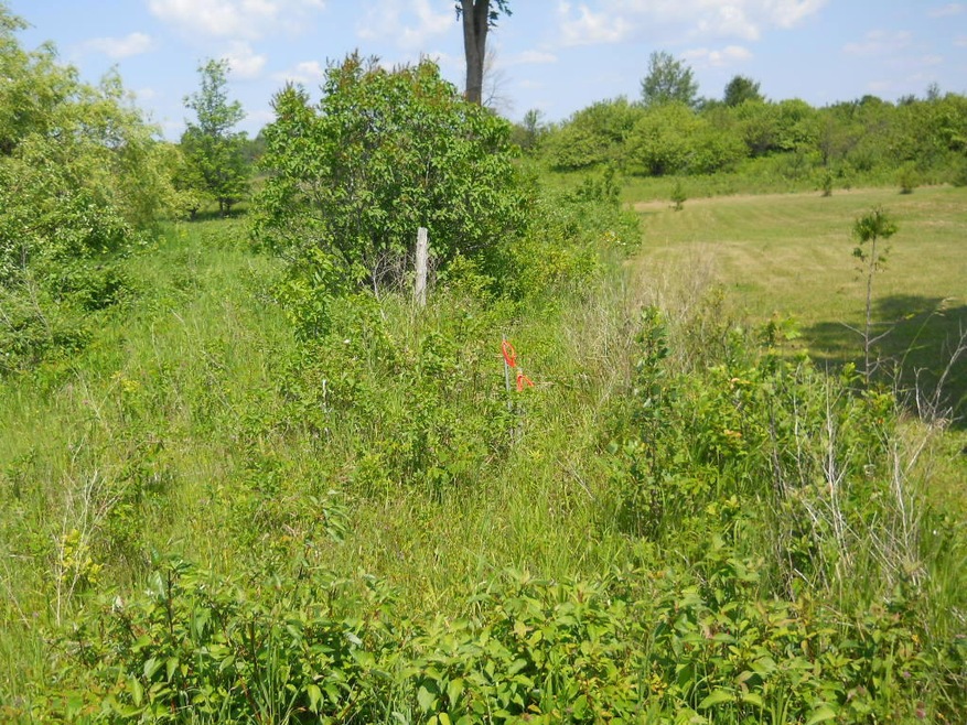 Vacant Land