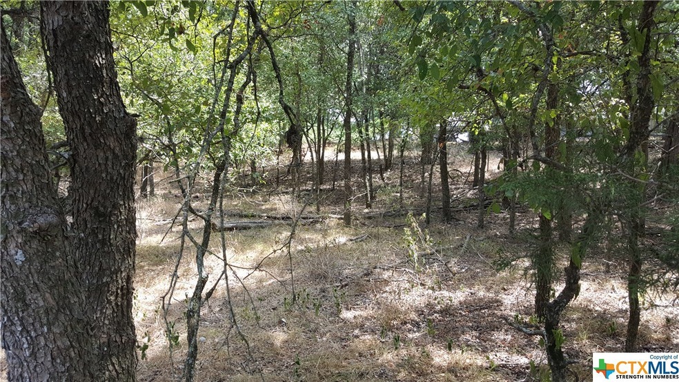 02 N Loop St, San Marcos, TX 78666 - photo 1