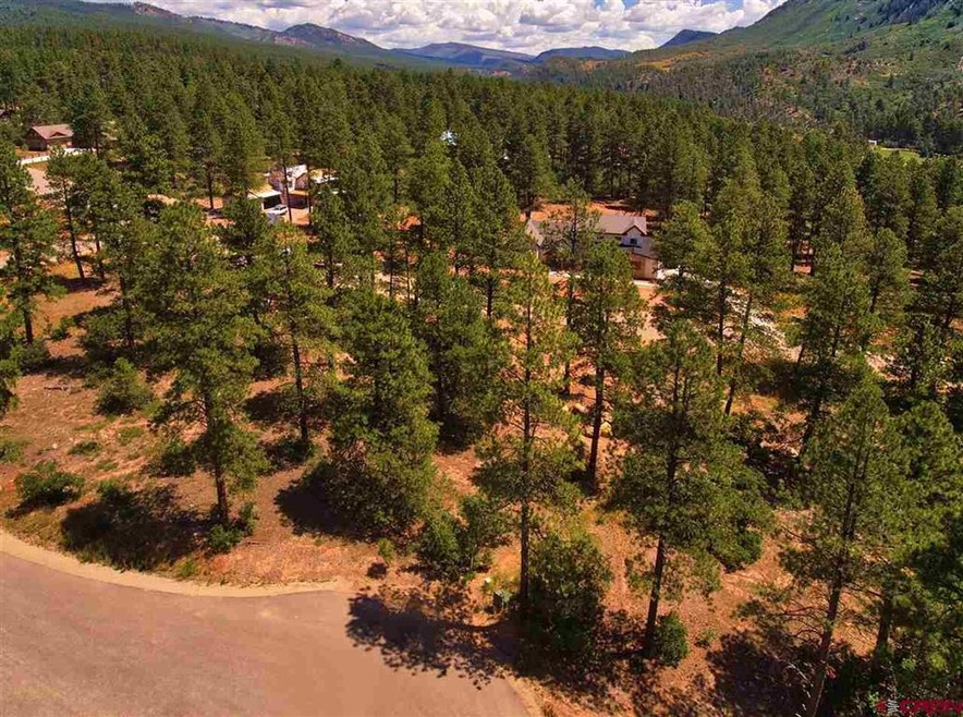 0 Engine Creek Ct unit 769146, Durango, CO 81301 - photo 1