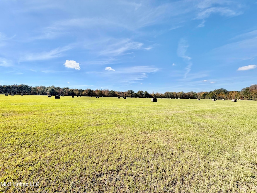 6803 Bowling Green Rd, Durant, MS 39063 - photo 1