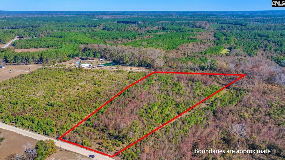 0 Proctor Rd, Cope, SC 29038 - photo 1