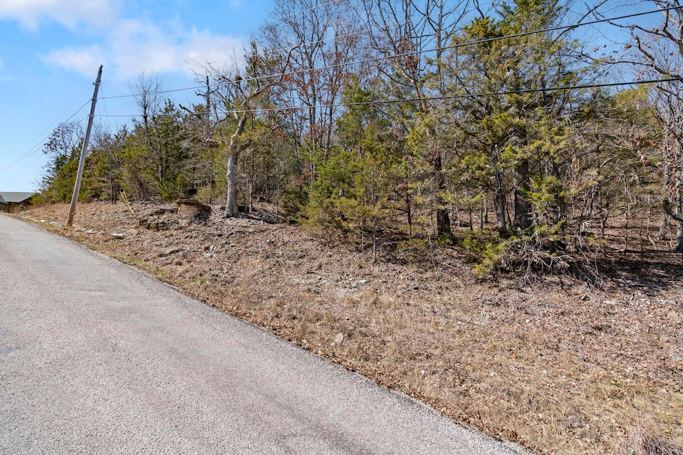 000 Map Ln, Branson, MO 65616 - photo 1