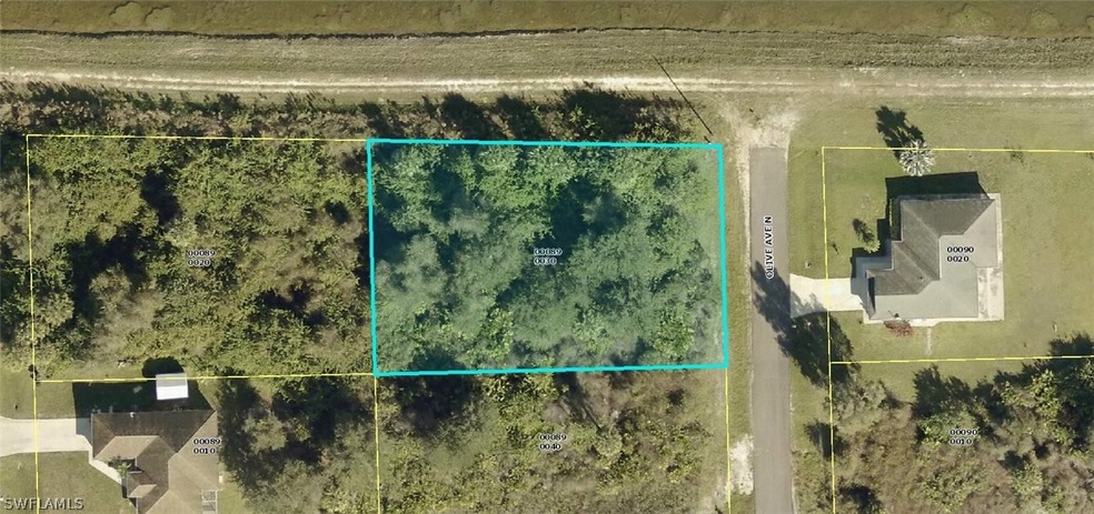 5903 Olive Ave N, Lehigh Acres, FL 33971 - photo 1