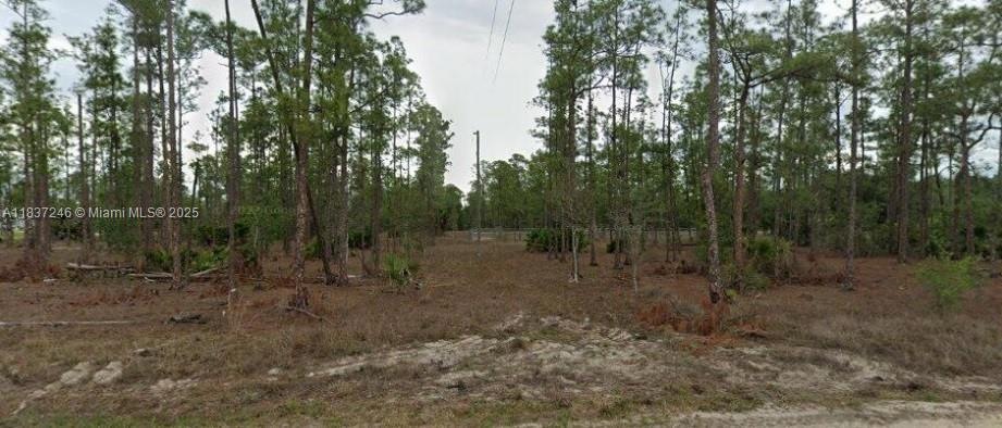 2005 E 13th St, Lehigh Acres, FL 33972 - photo 1