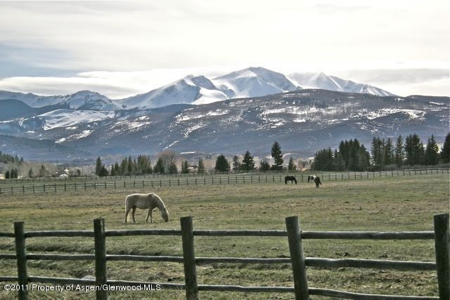 Lazy O - Horses