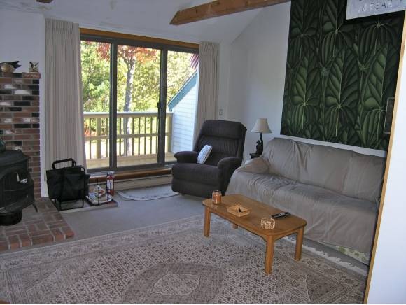 17 Tripyramid Way, Waterville Valley, NH 03215 - photo 1