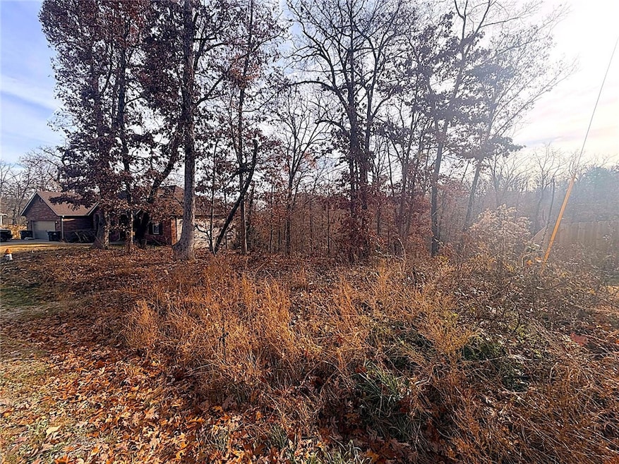 14 Ayton Ln, Bella Vista, AR 72714 - photo 1