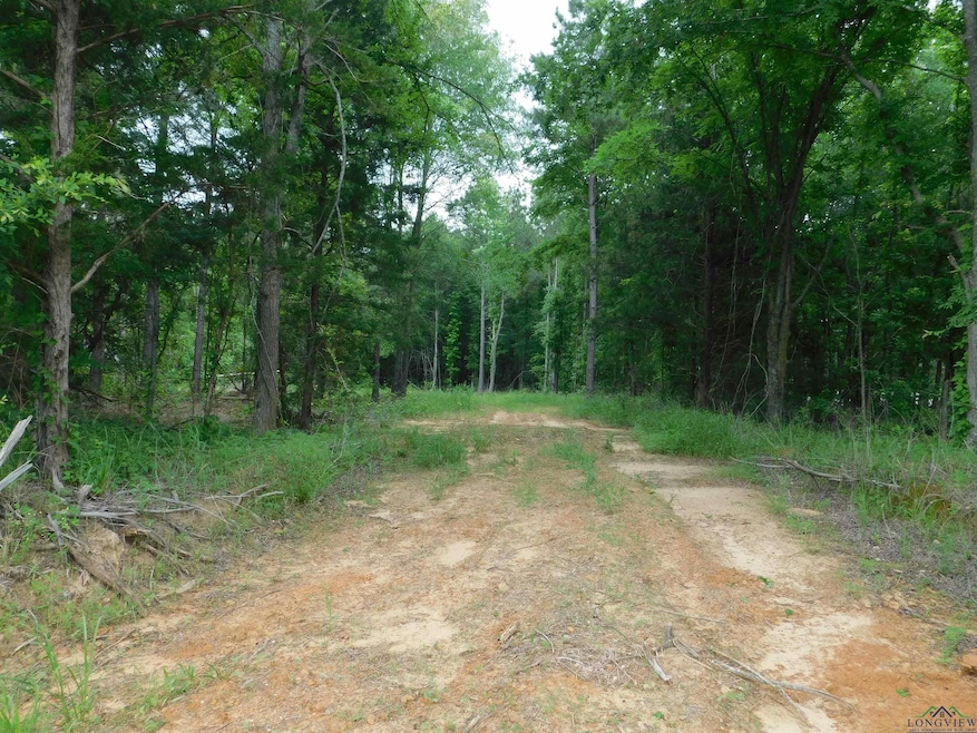 View of local wilderness with a view of trees