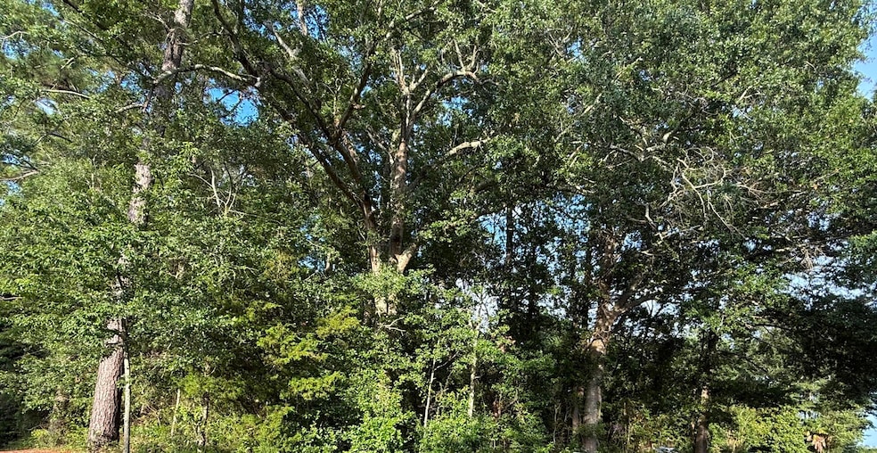 0 Hidden Dr unit 25019415, Orangeburg, SC 29115 - photo 1