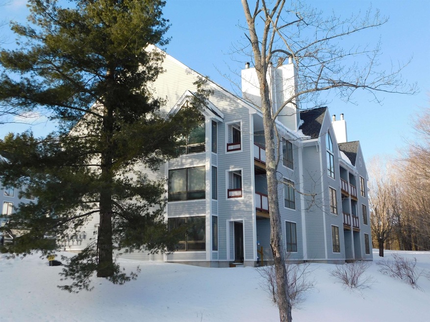 4E Northbrook Village Rd unit B21, Dover, VT 05356 - photo 1