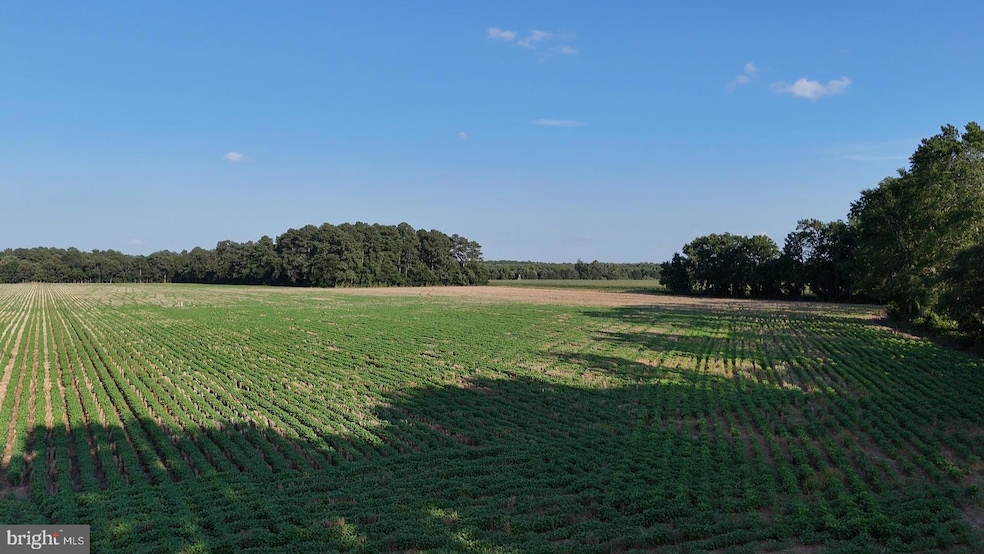 1.62 ACRES Russell Rd, Bridgeville, DE 19933 - photo 1