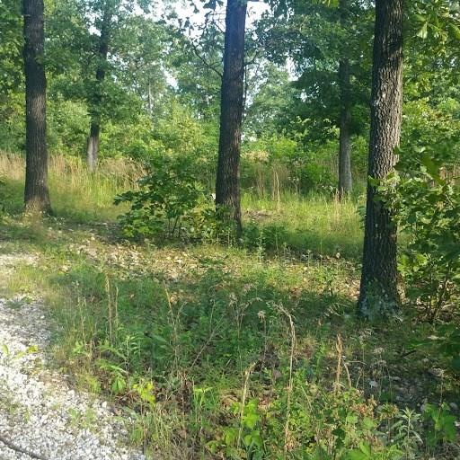 Level lot with a culvert already installed. Partia