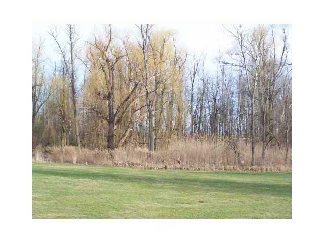 Land/Lot