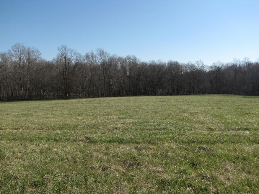 0 Holman Mill Rd unit 91539, 8, Newlin, NC 27349 - photo 1