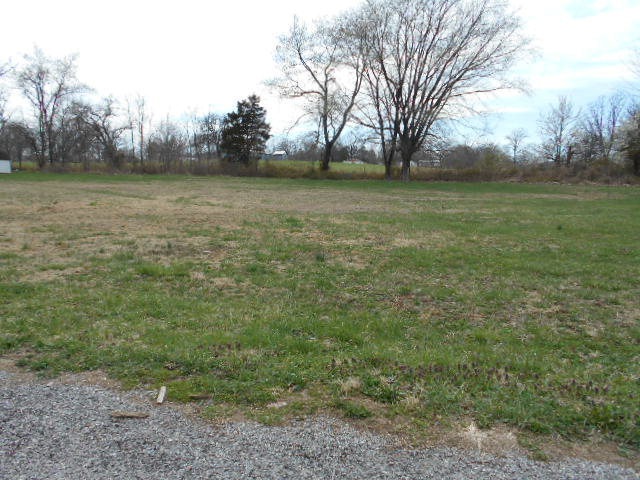 Primary Photo