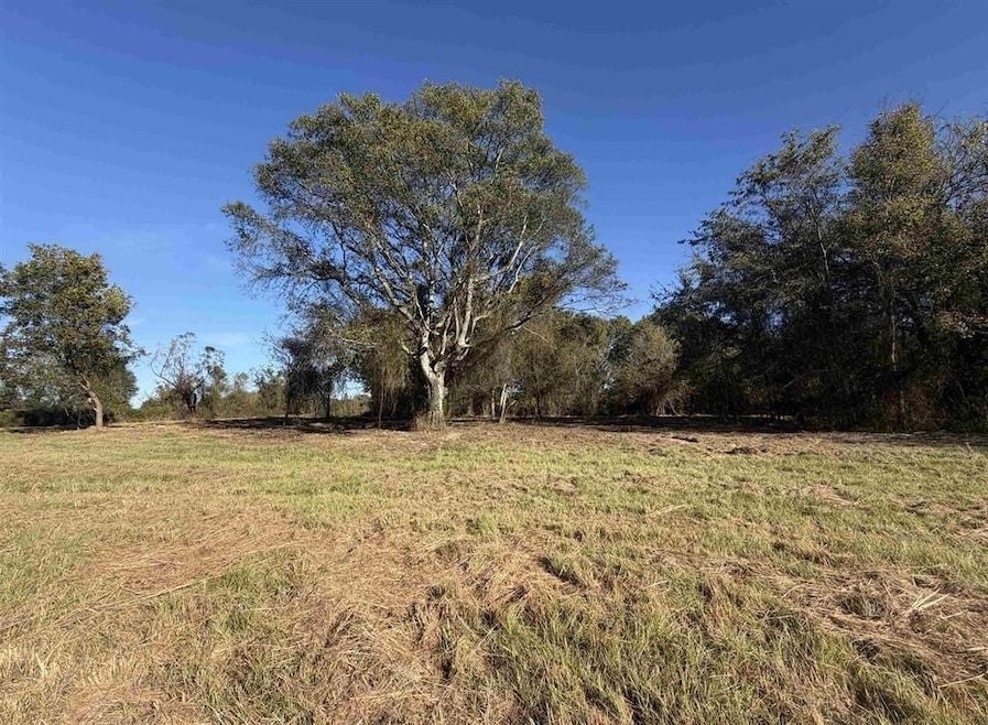 Tbd County Road 4316, de Kalb, TX 75559 - photo 1