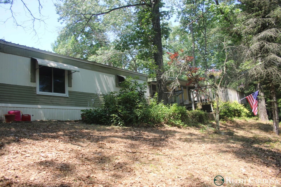 4855 Juniper Ridge Ave, Newaygo, MI 49337 - photo 1