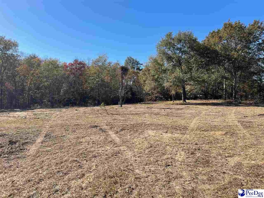 3400 Confederate St, Dovesville, SC 29540 - photo 1