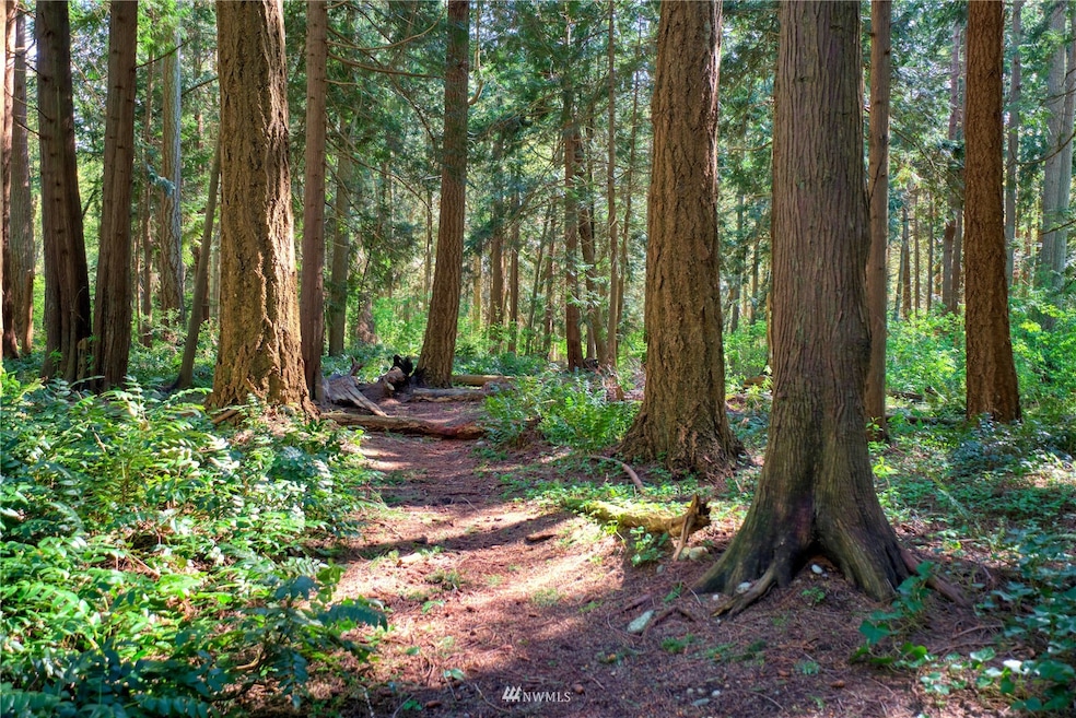 1751 Benson Rd, Point Roberts, WA 98281 - photo 1