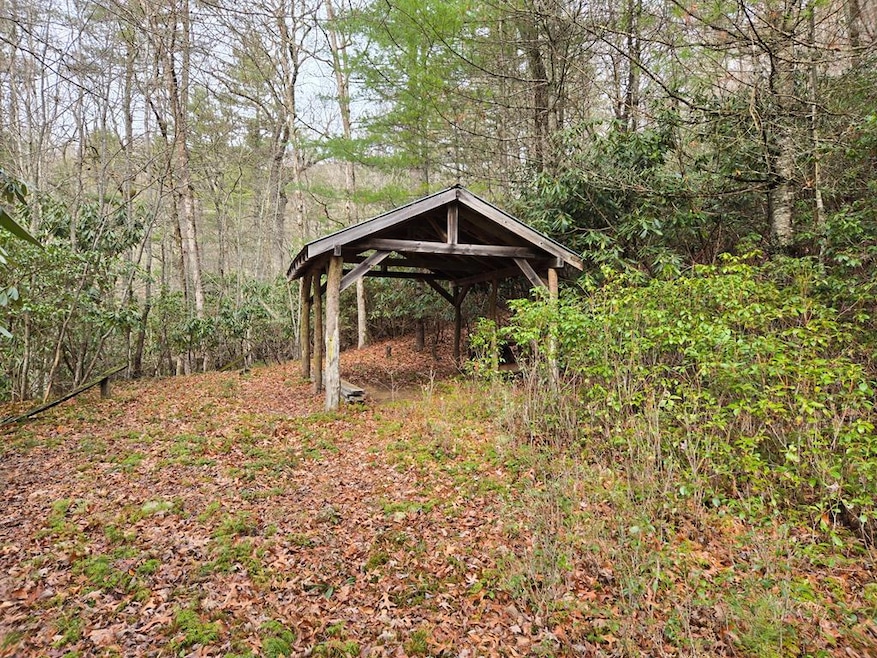 unlisted-address, Tuckasegee, NC 28783 - photo 1