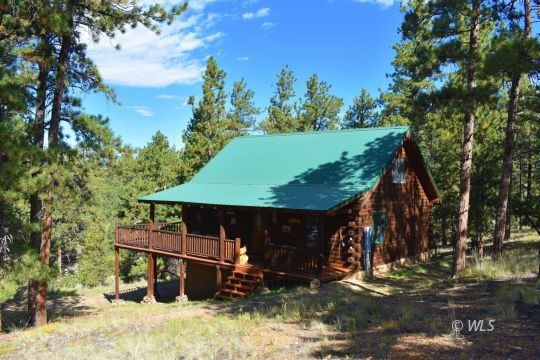 Home in the tall pines