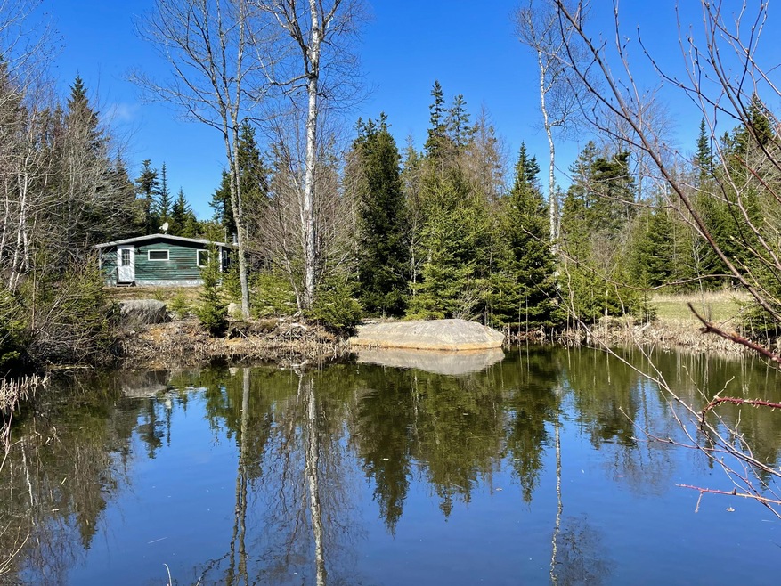 pond and house