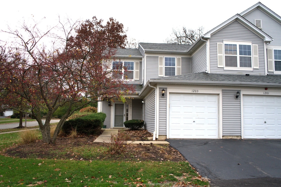 1203 Brookdale Dr, Carpentersville, IL 60110 - photo 1