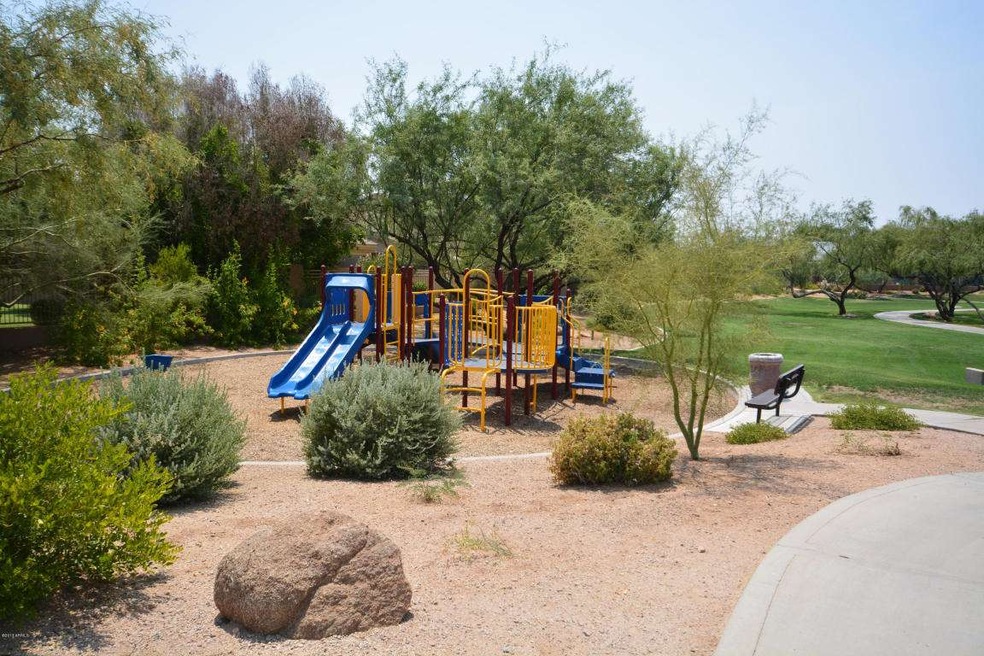 Grayhawk