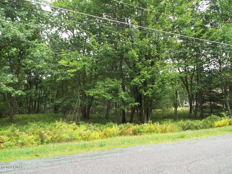 Lot 28 Blackbirch Ln, Blooming Grove Township, PA 18428 - photo 1