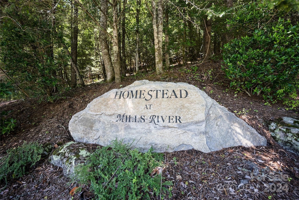 1018 Mills River Way, Horse Shoe, NC 28742 - photo 1